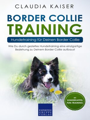 cover image of Border Collie Training – Hundetraining für Deinen Border Collie